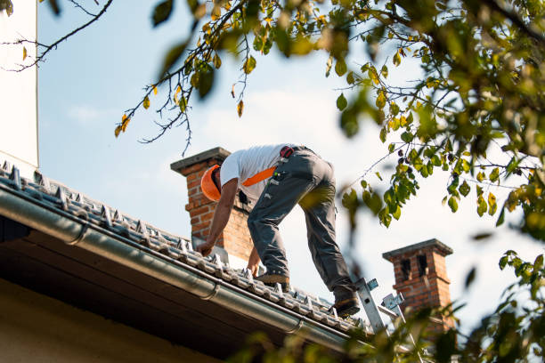 Best Roof Ventilation Installation  in Quincy, IL