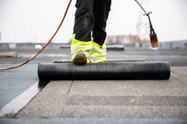 Best Solar Panel Roofing Installation  in Quincy, IL